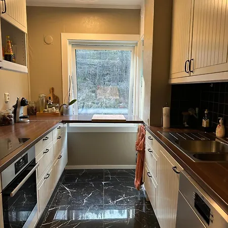 Med Nydelig Utsikt Over 卑爾根